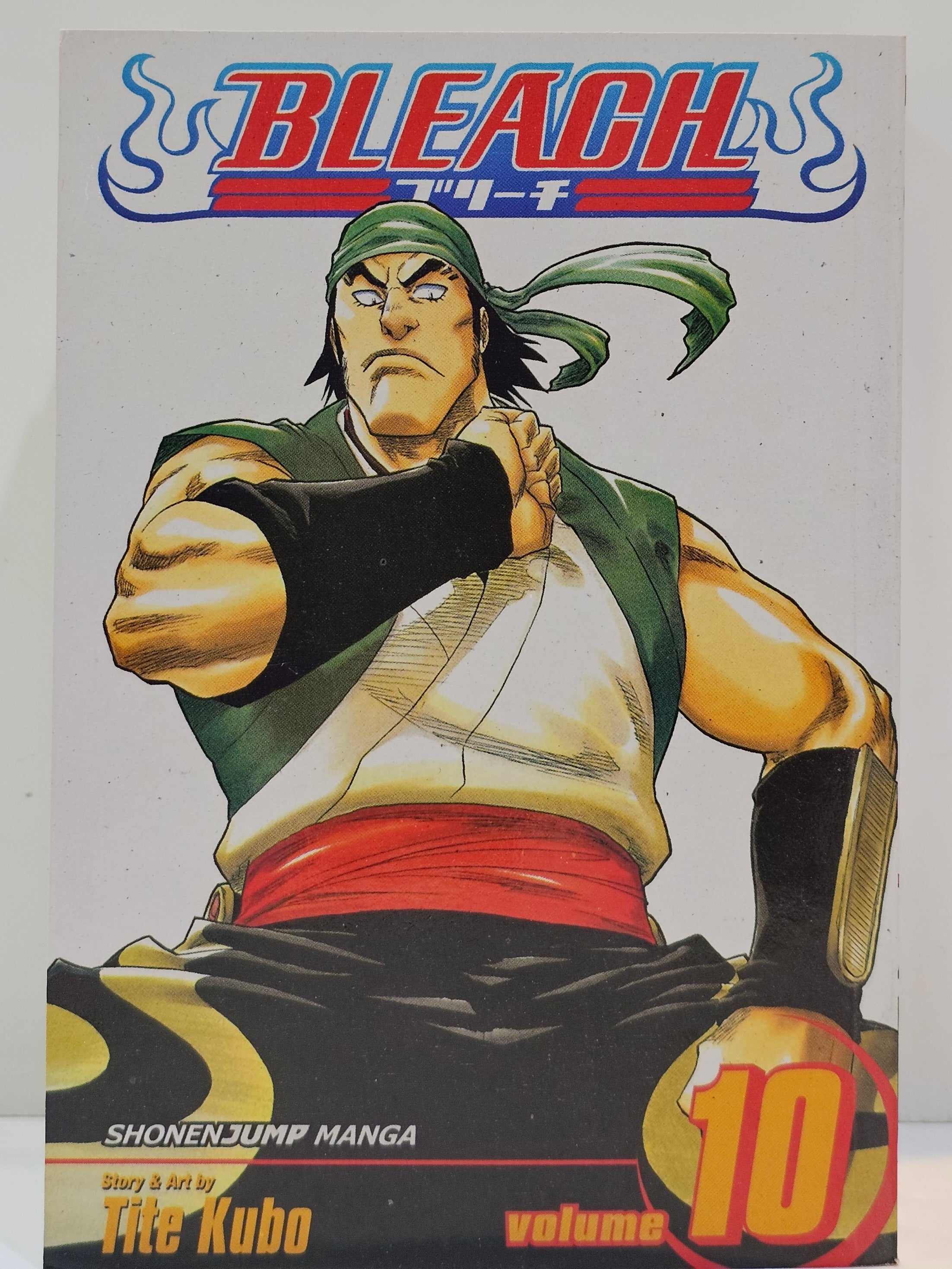 Bleach manga 10