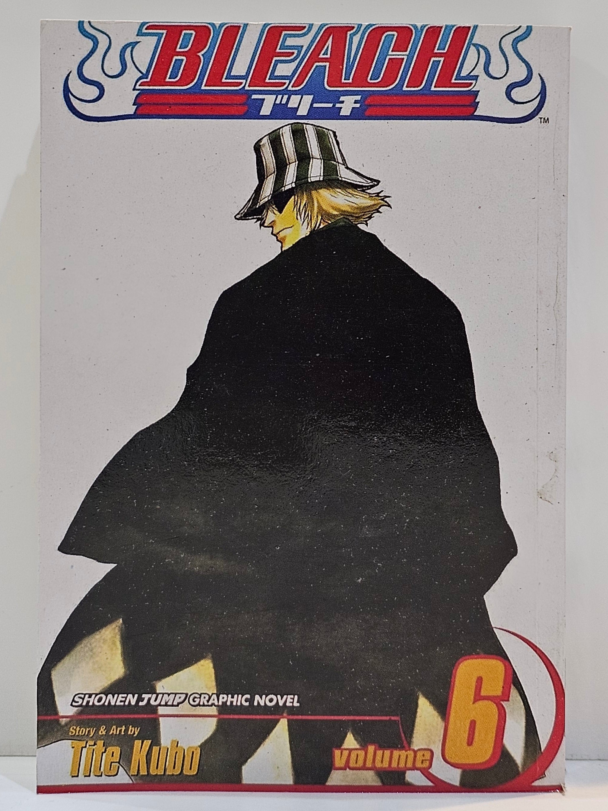 Bleach manga 6
