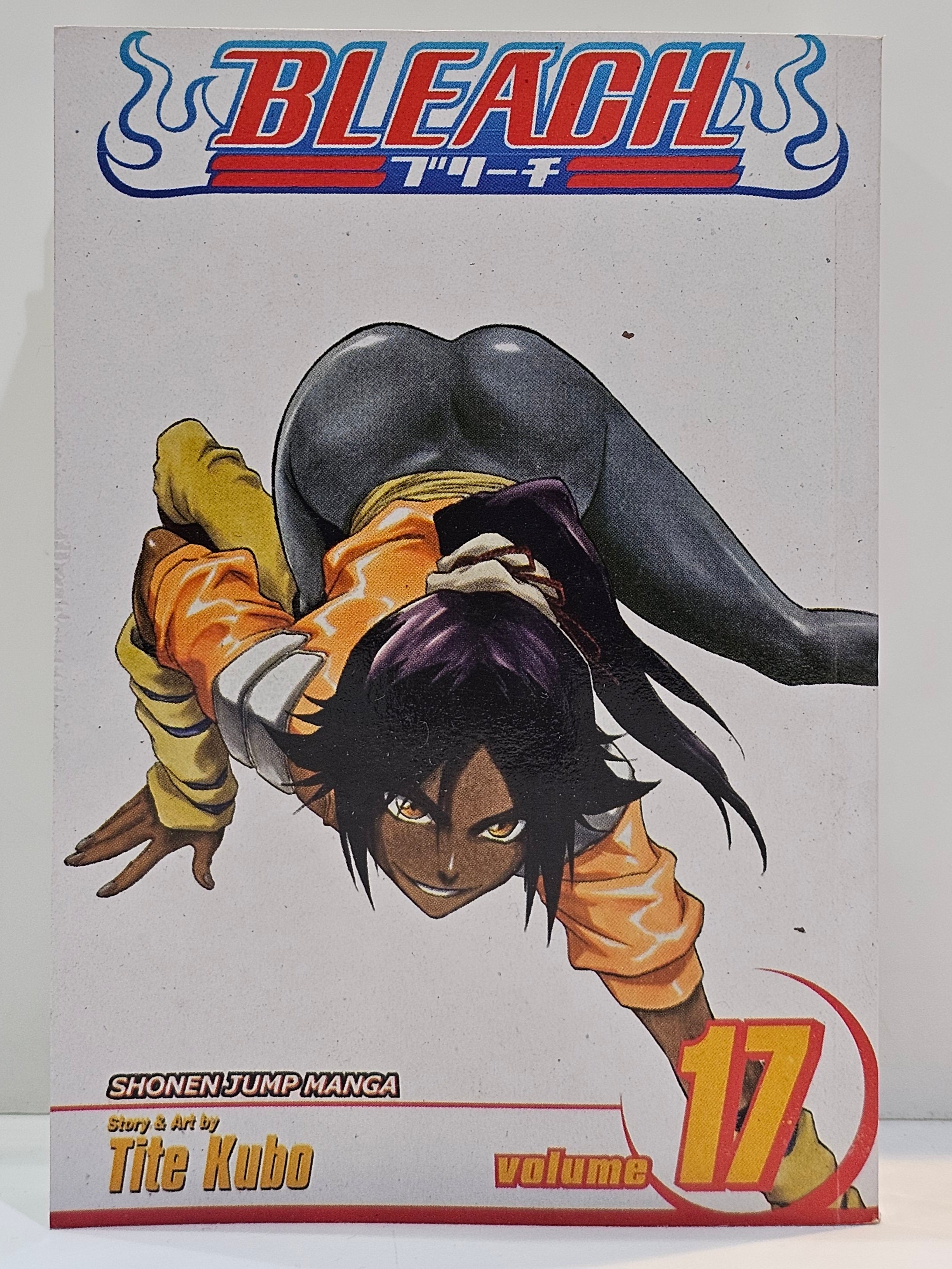 Bleach manga 17