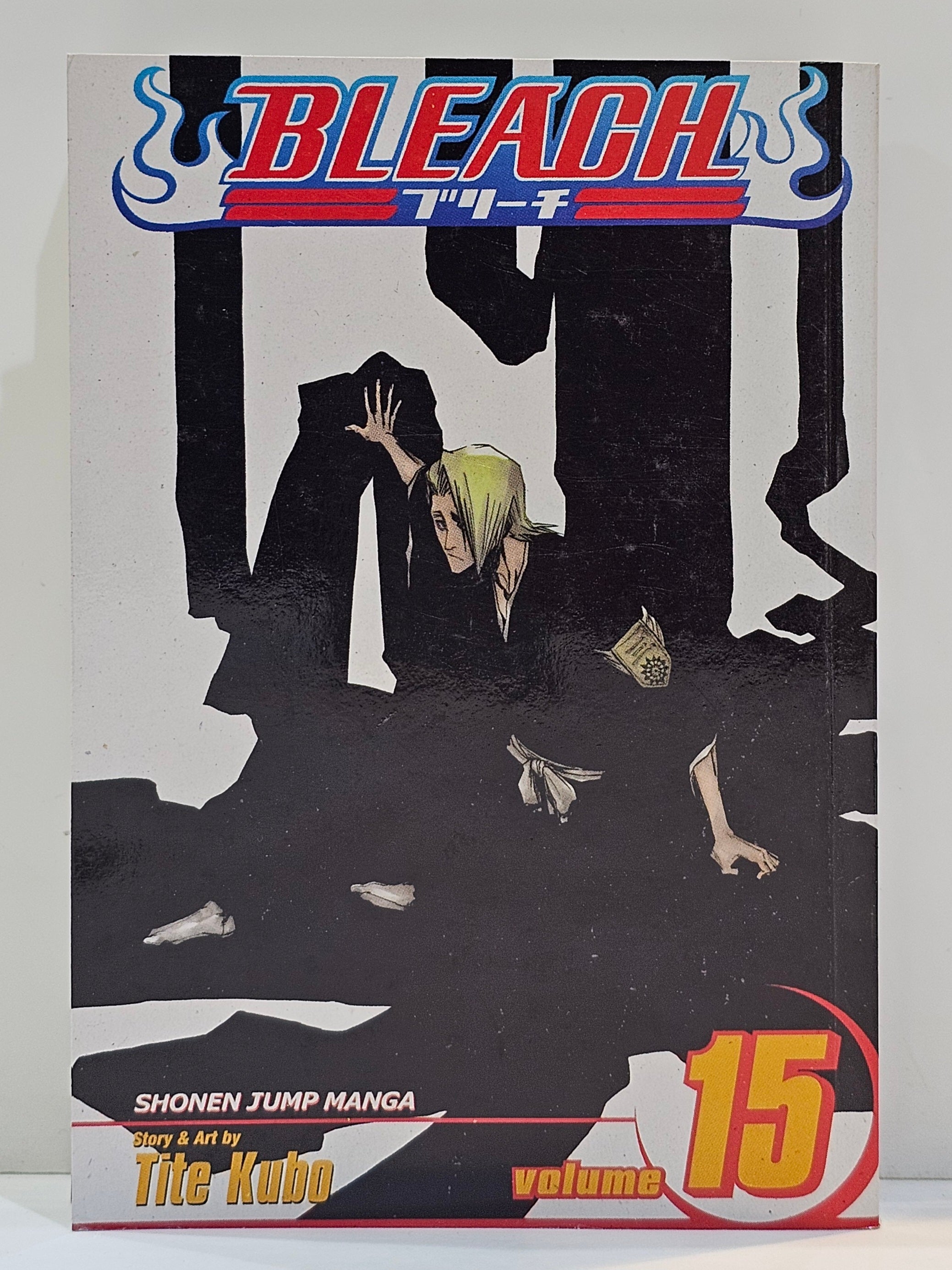 Bleach manga 15
