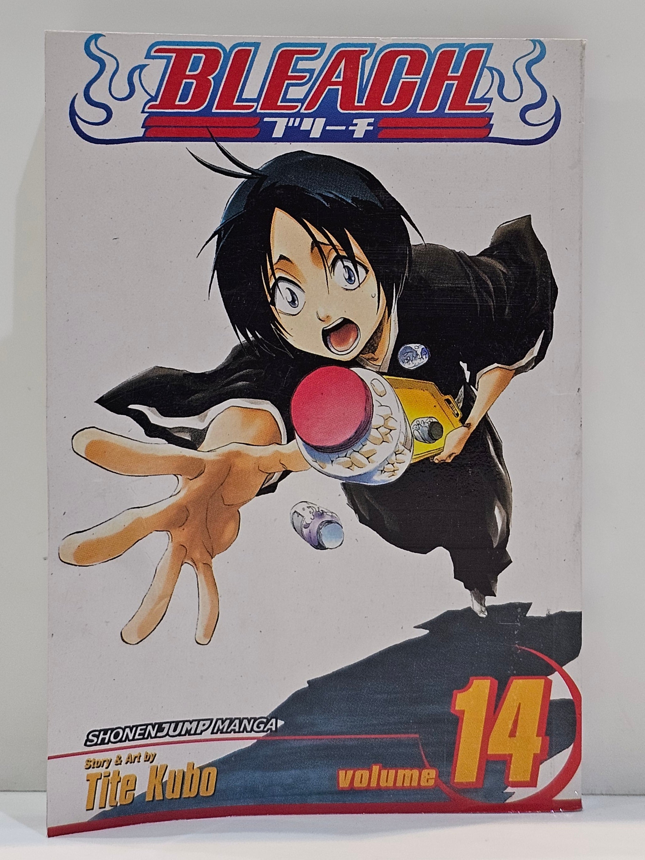 Bleach manga 14