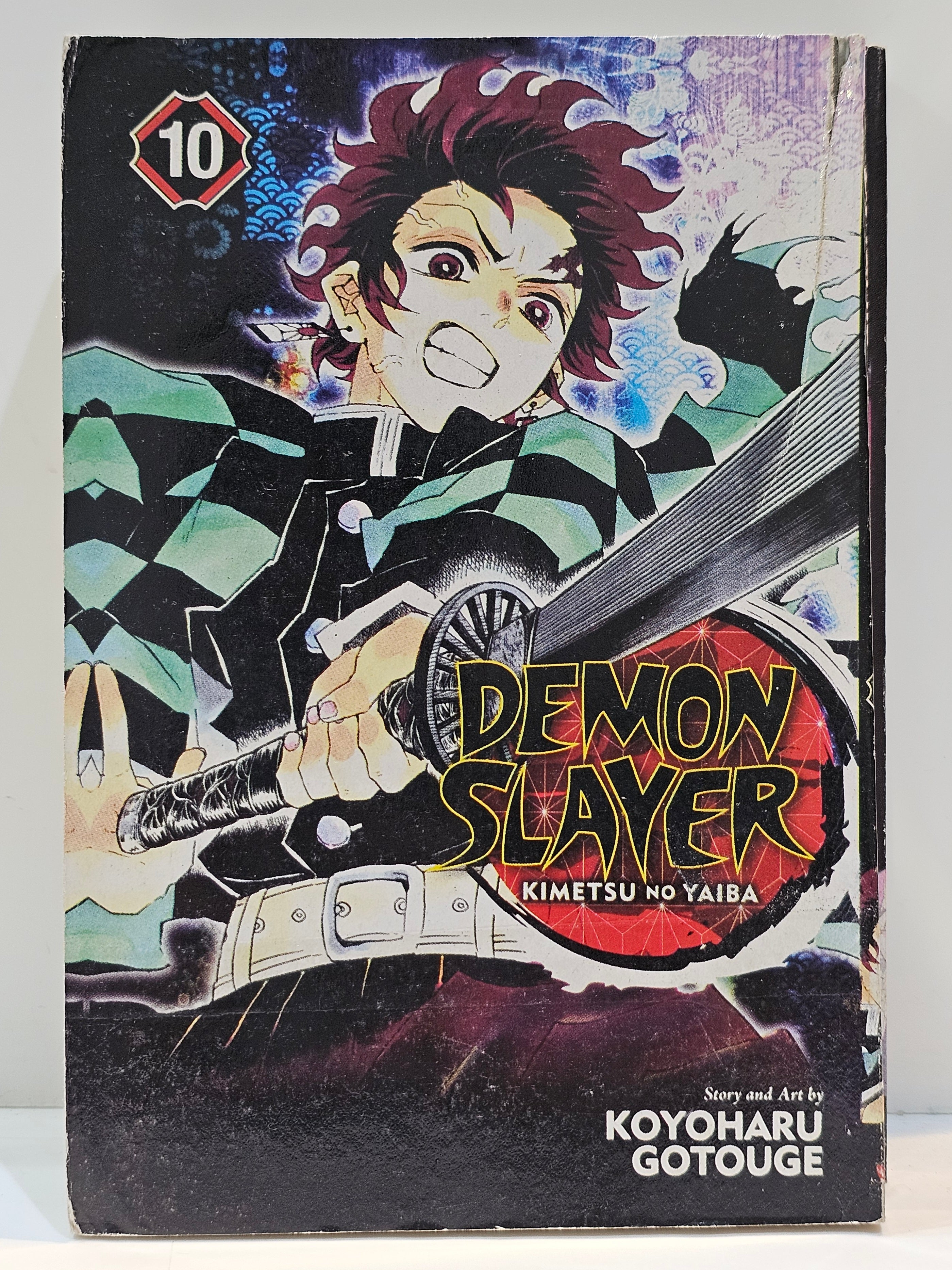 Demon slayer manga 10